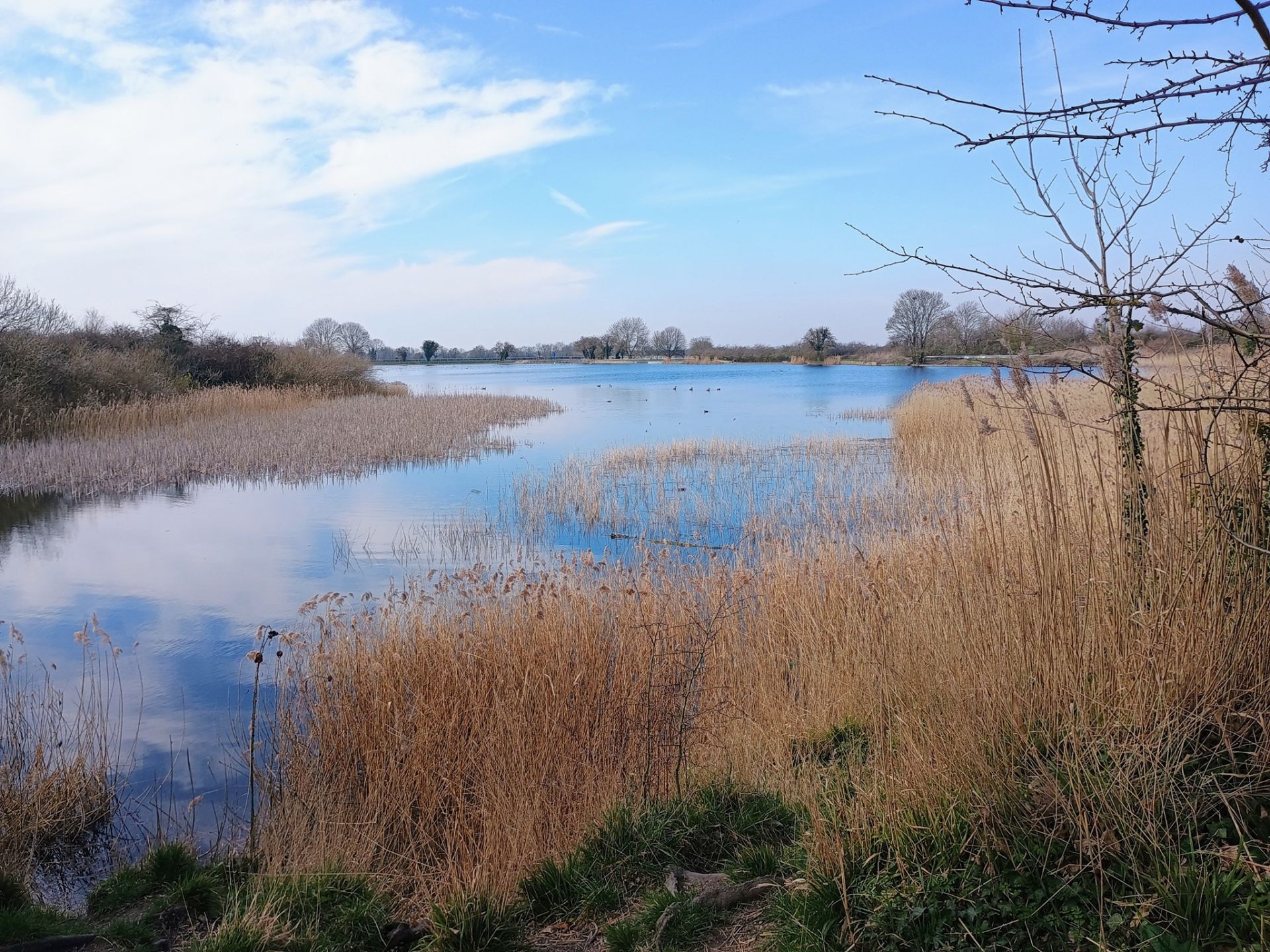 Marsworth Reservoir